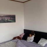 Berceni Luica ideal credit bancar